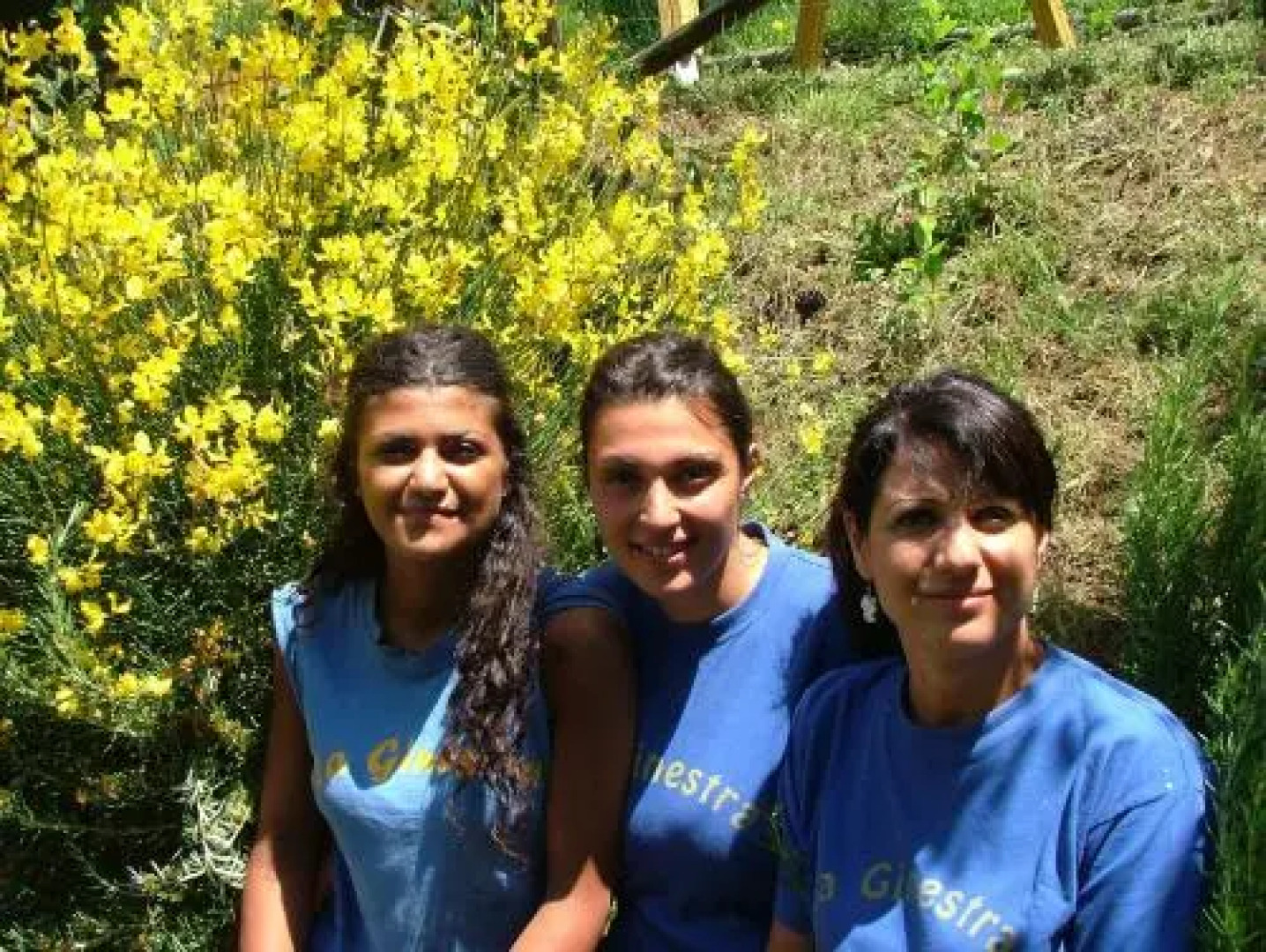 La Ginestra casa vacanze