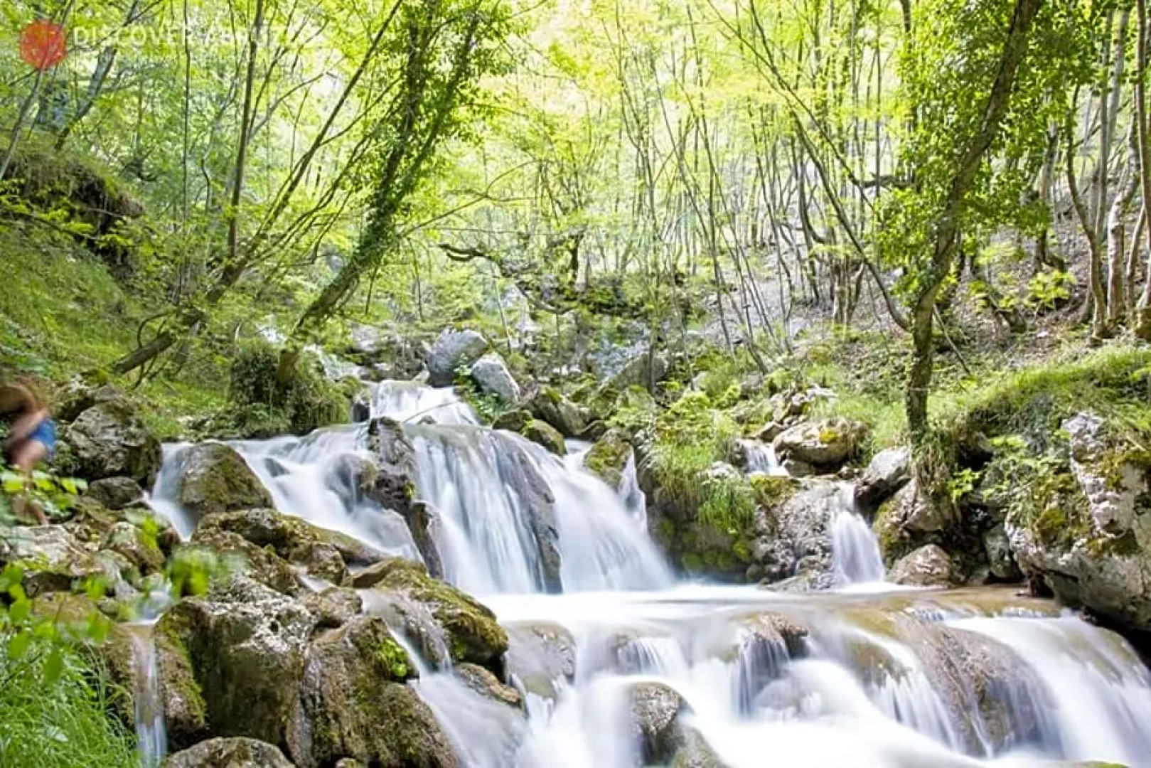 Villa Patrizia Ristorante Hotel