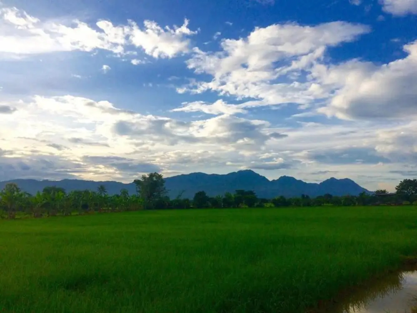 Sanikul Resort