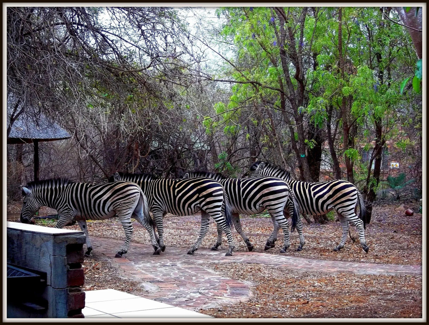 Phumula Kruger Lodge