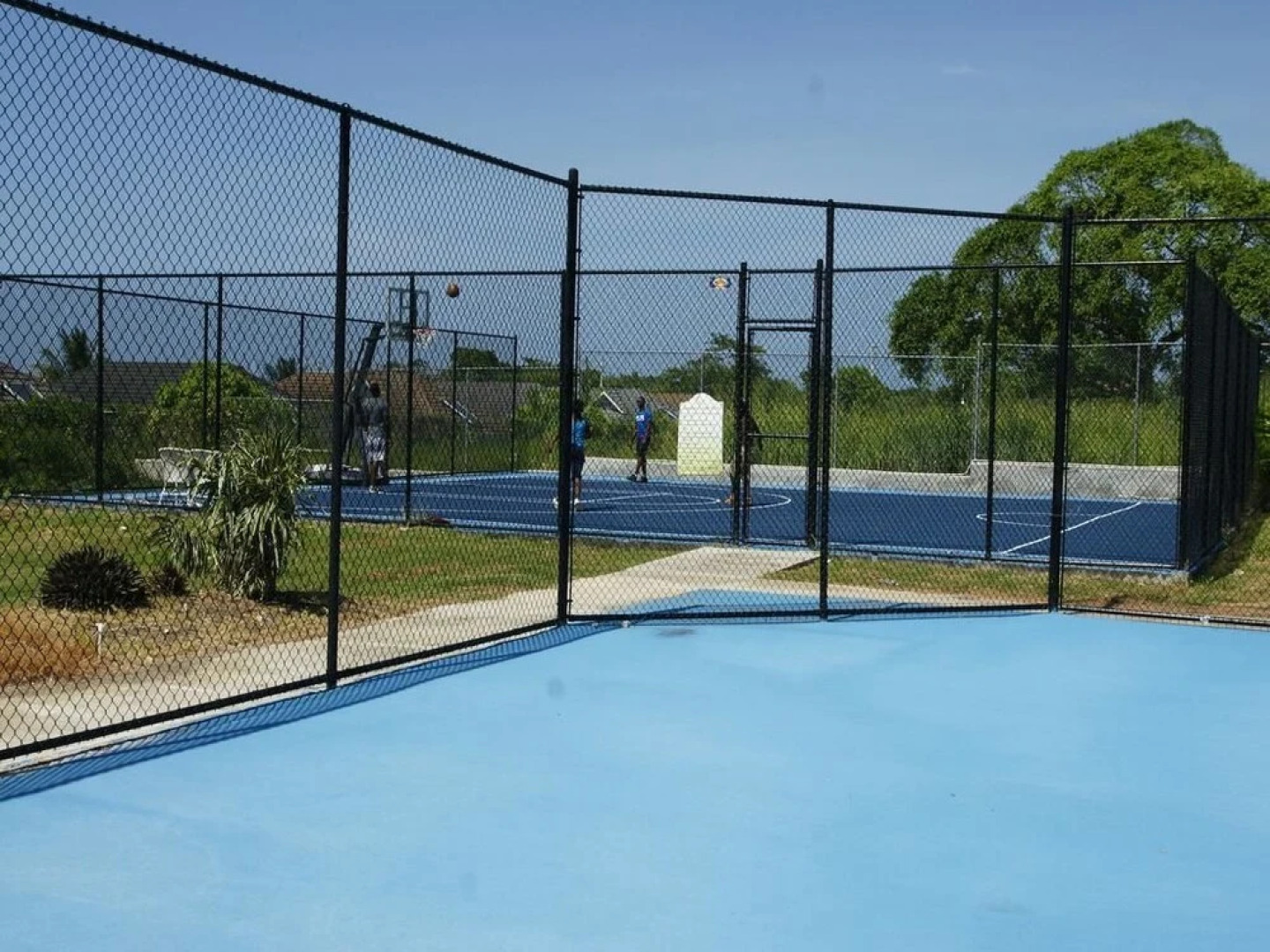 Tranquillity at The Palms