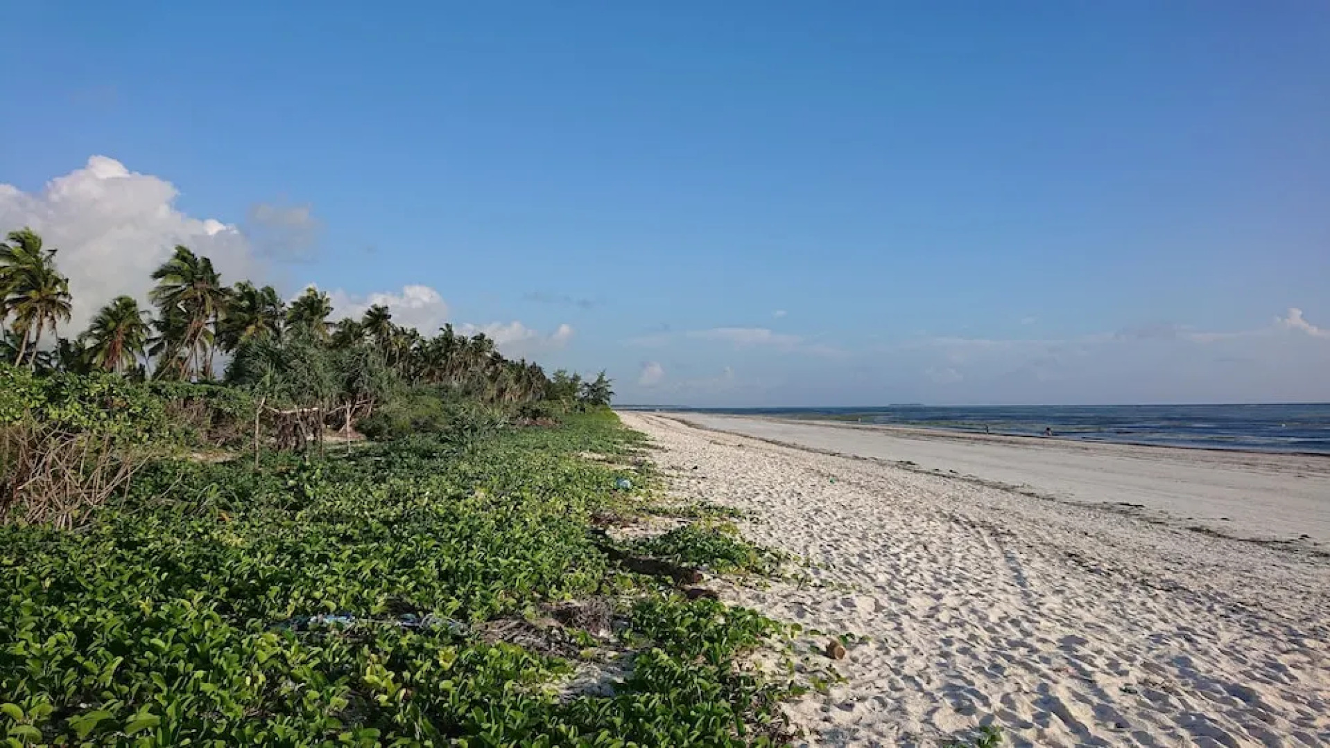 Balungi Bungalow & Restaurant