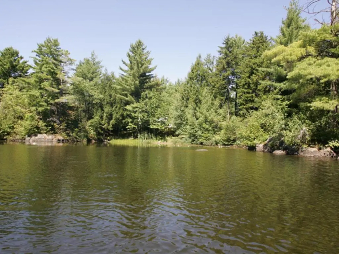 Chalet au bord de l'eau Le Nymphéa