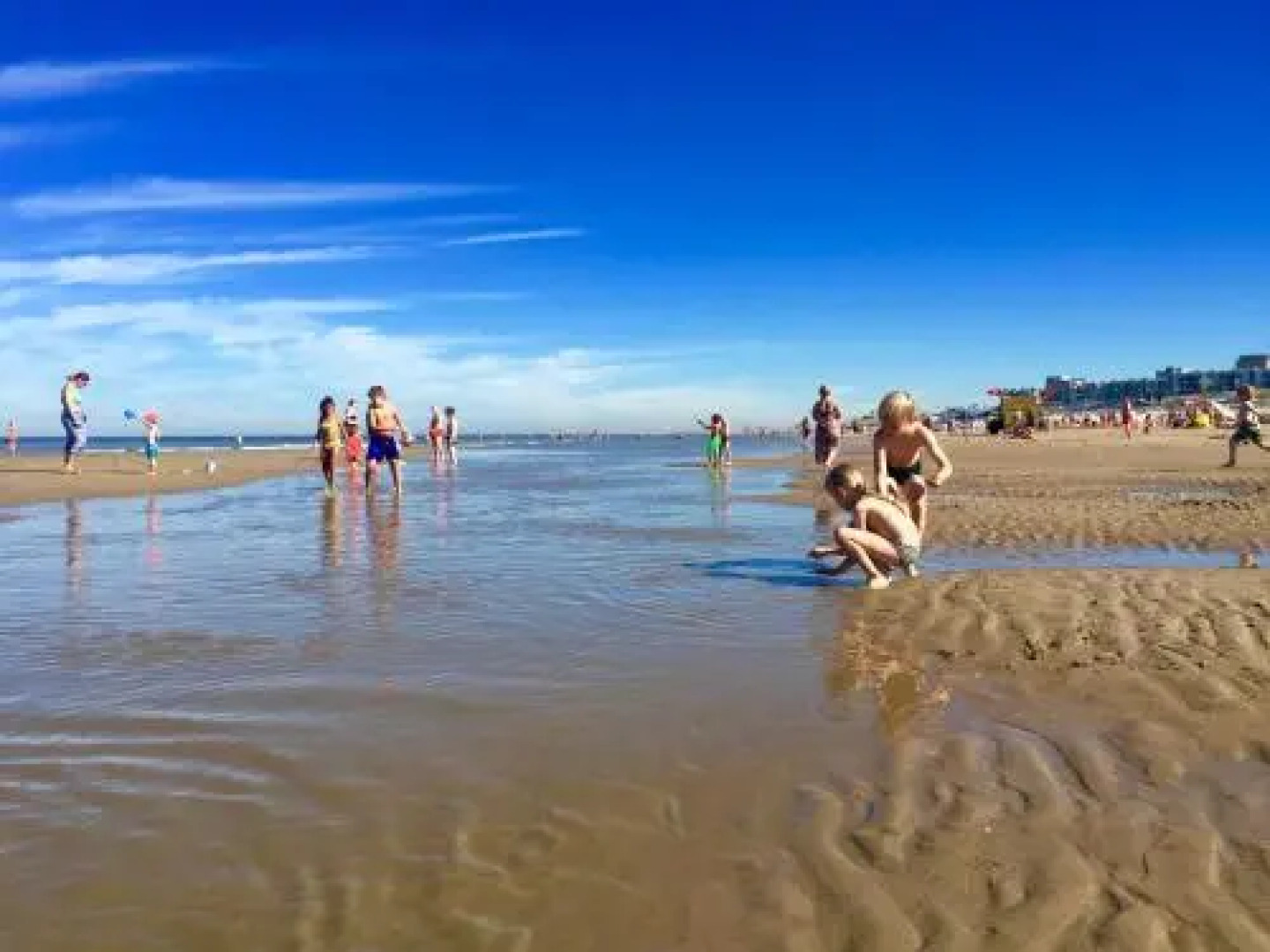 Reumann Holiday Apartments: De Schelp