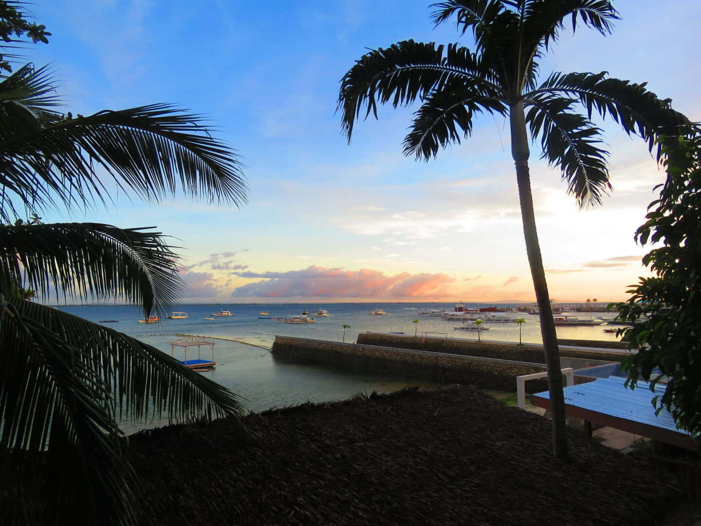 Aozora Seaside Mactan