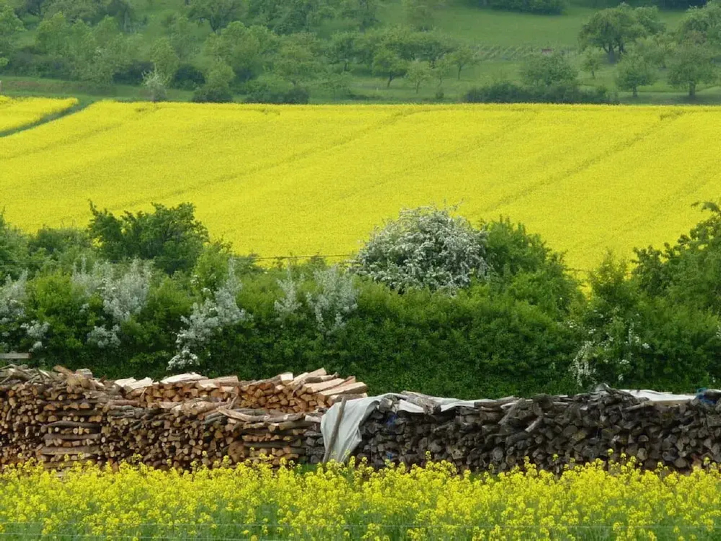 Tranquil Apartment Near Lake