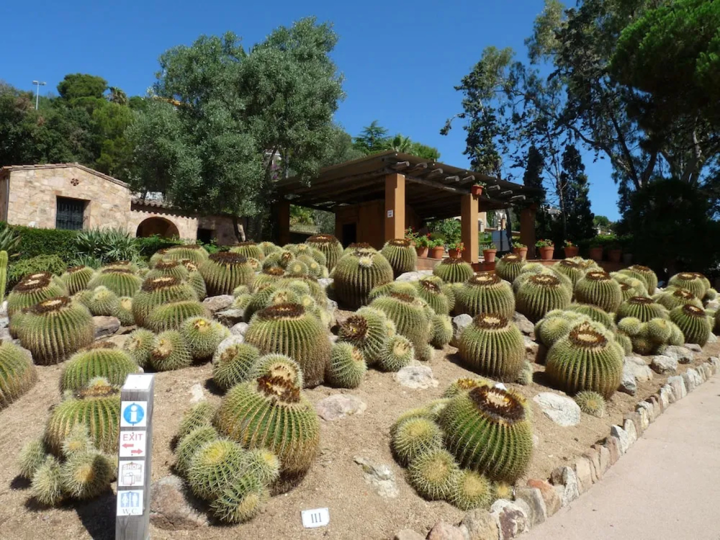 RVHotels Apartamentos Lotus