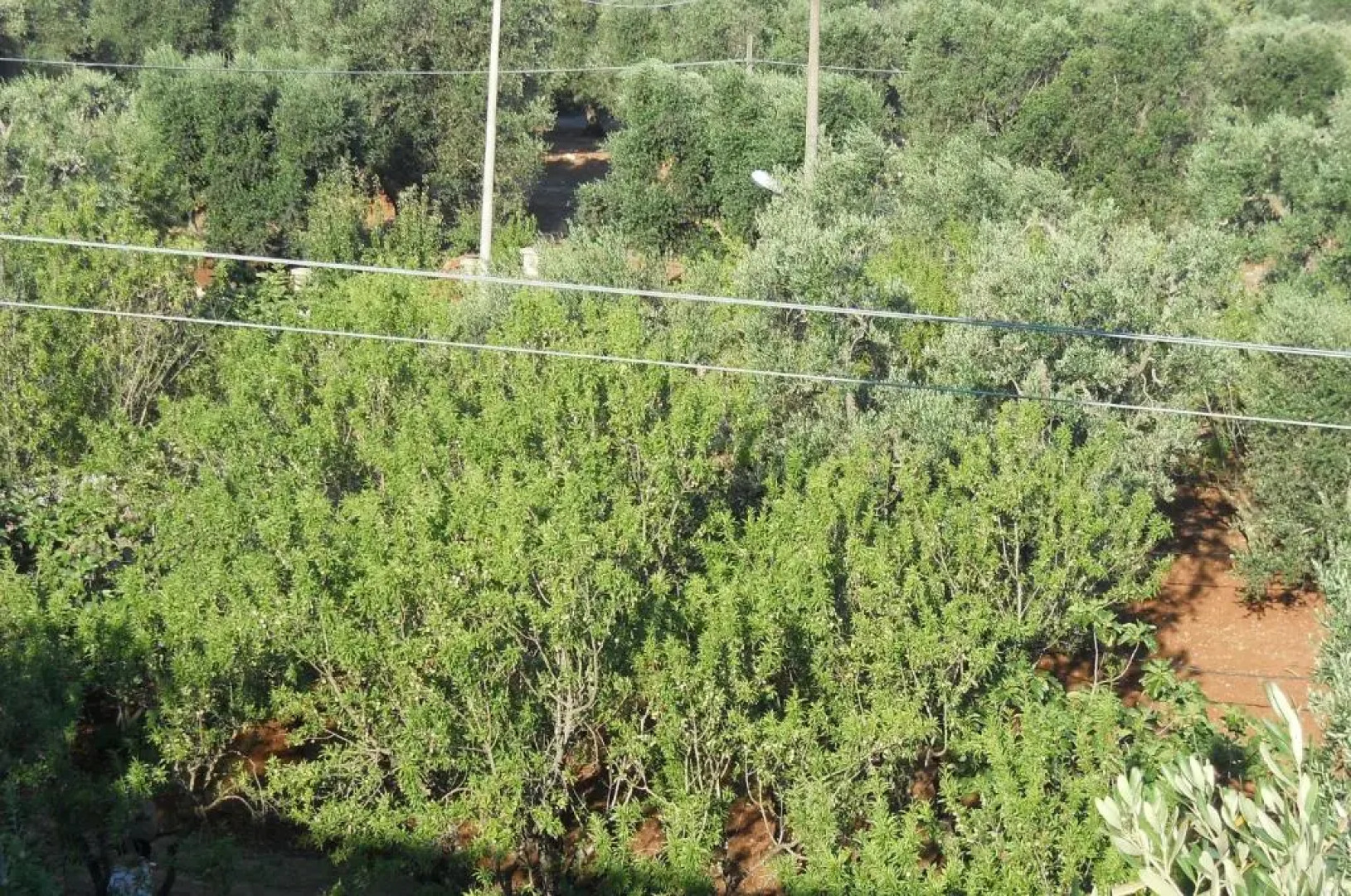 Villa Conte in Salento