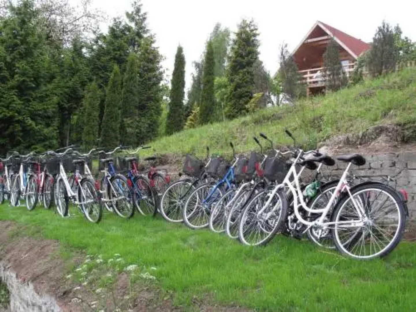 Osrodek Wczasowy Zloty Dab Domki