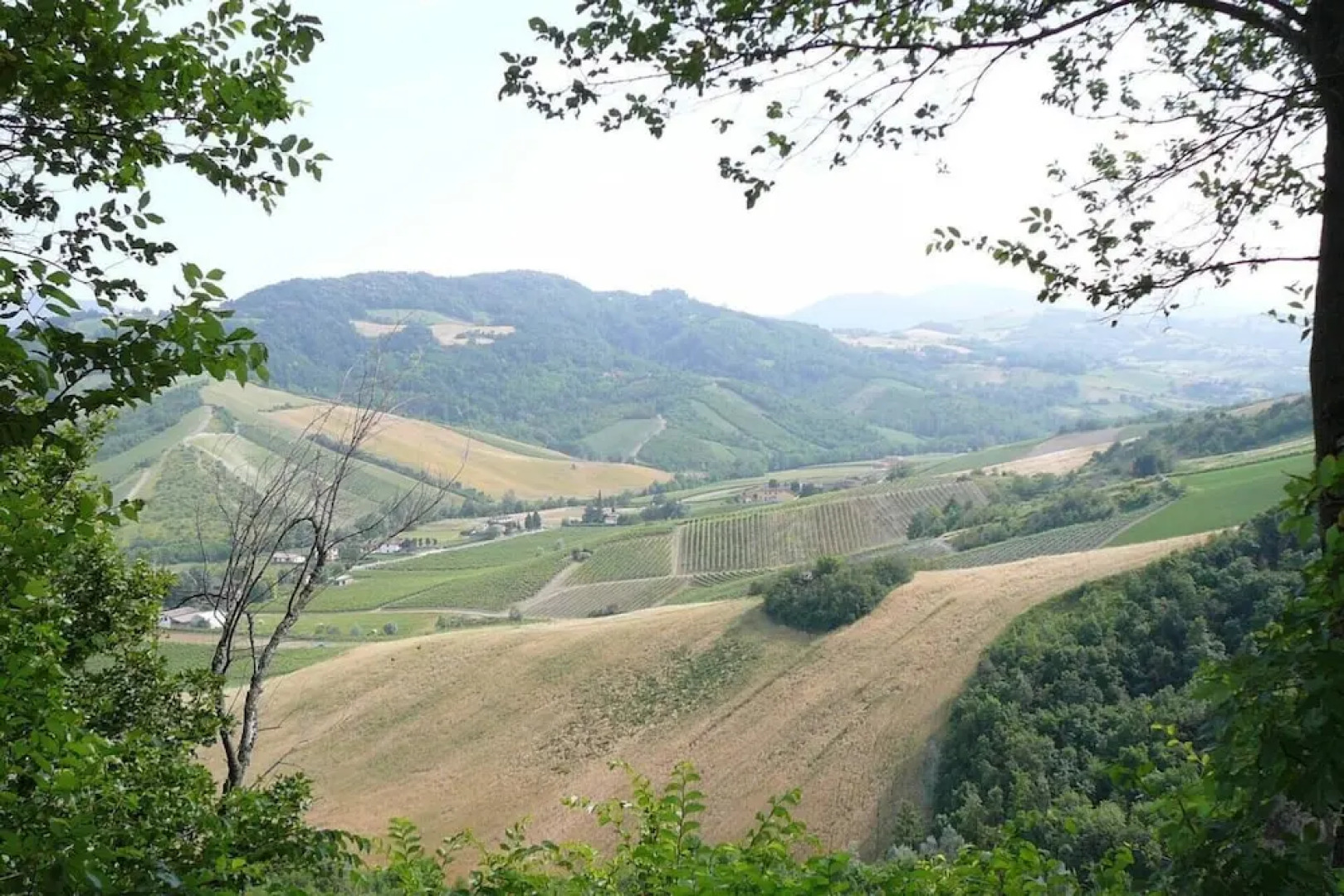 La Pergola in Castell'arquato