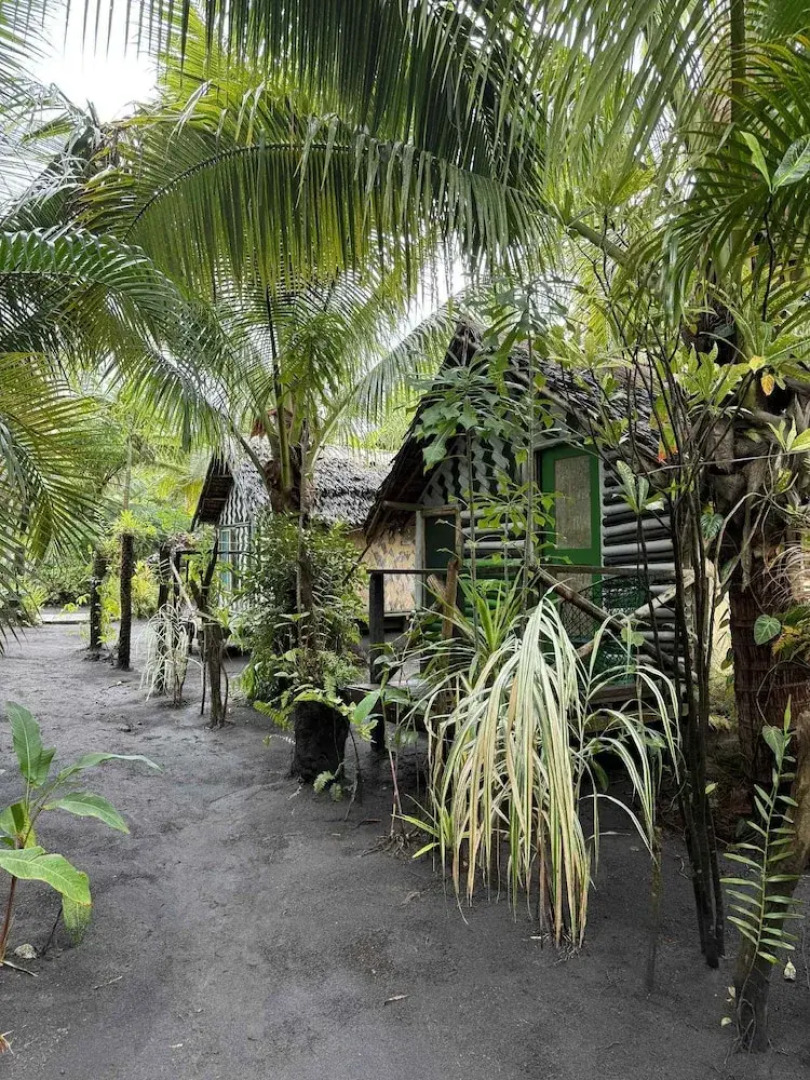 Jungle Oasis