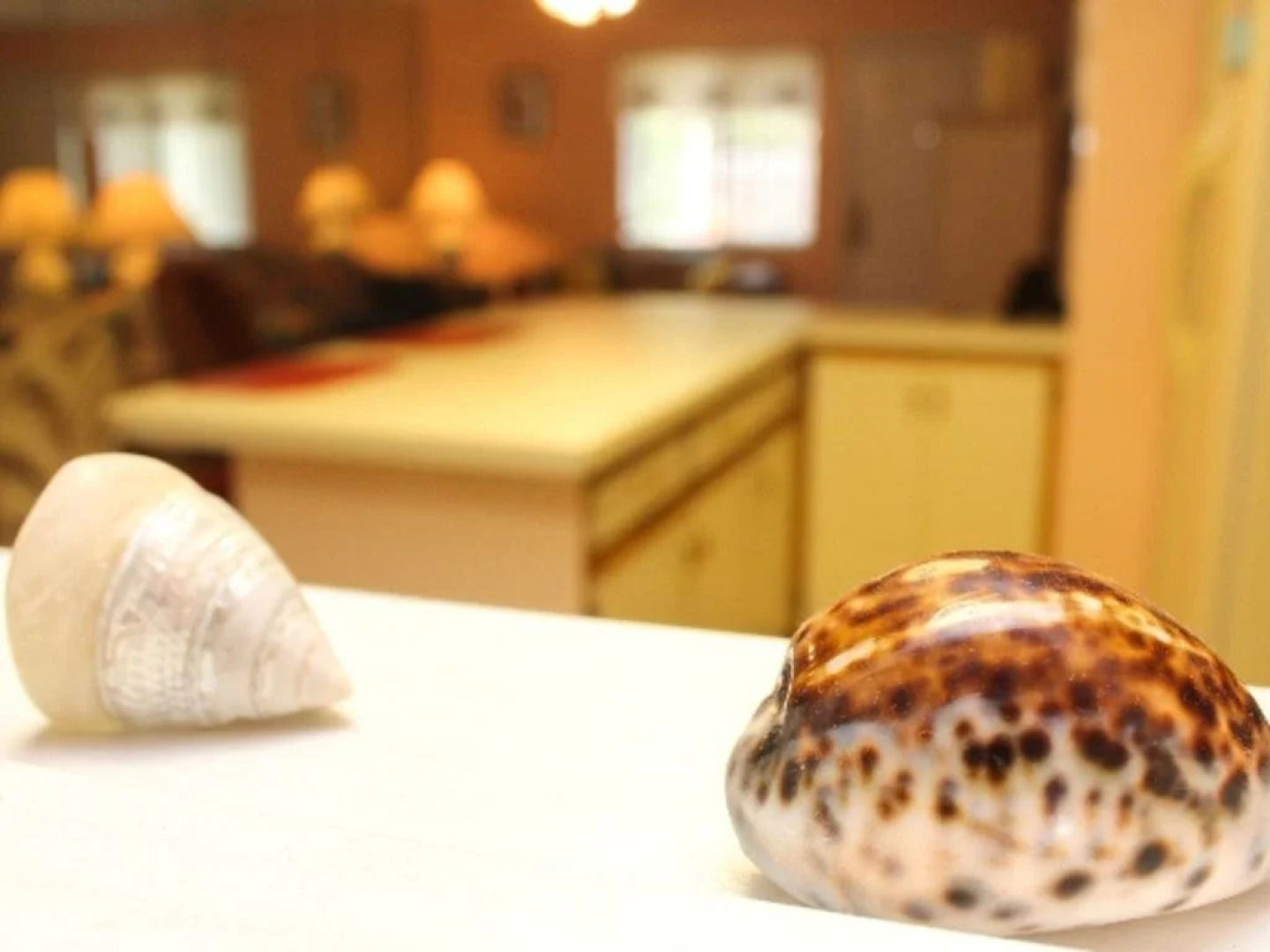 Gulf Highland Beach Resort 195 by RedAwning