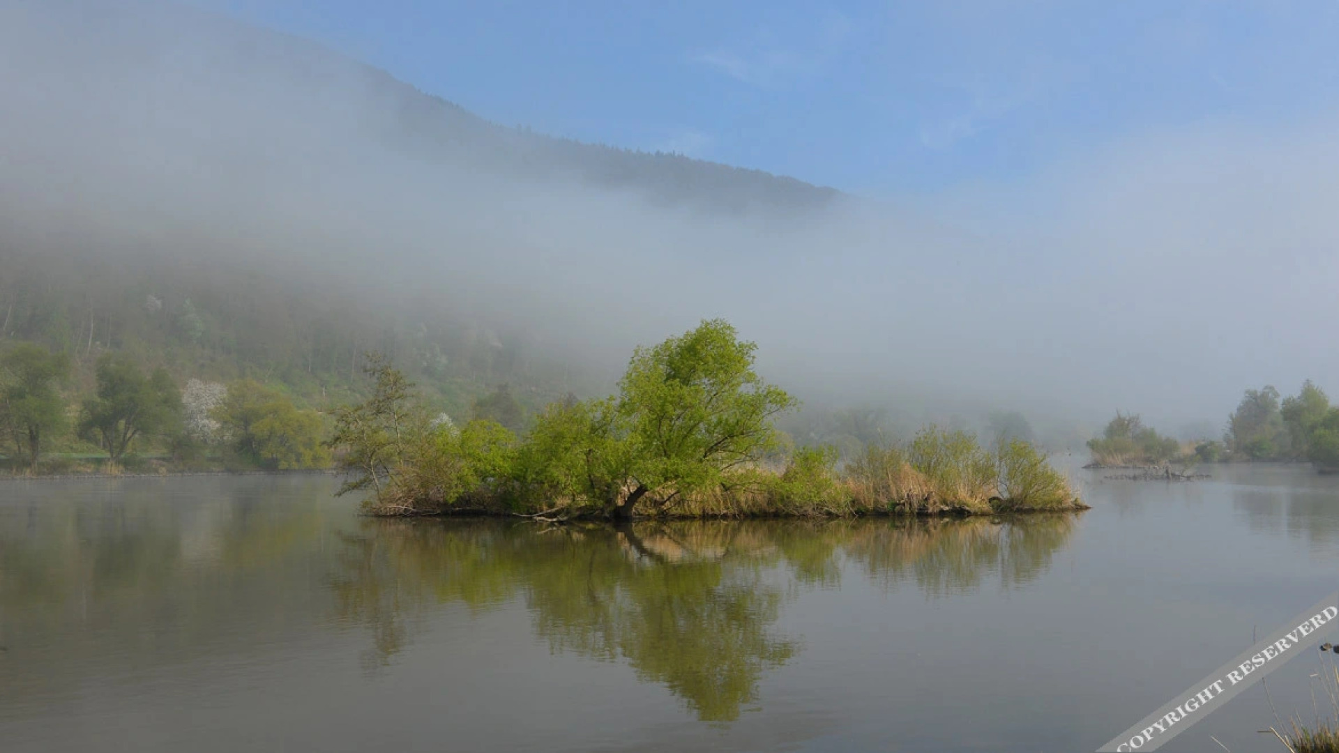 Hotel Weinhaus Stern