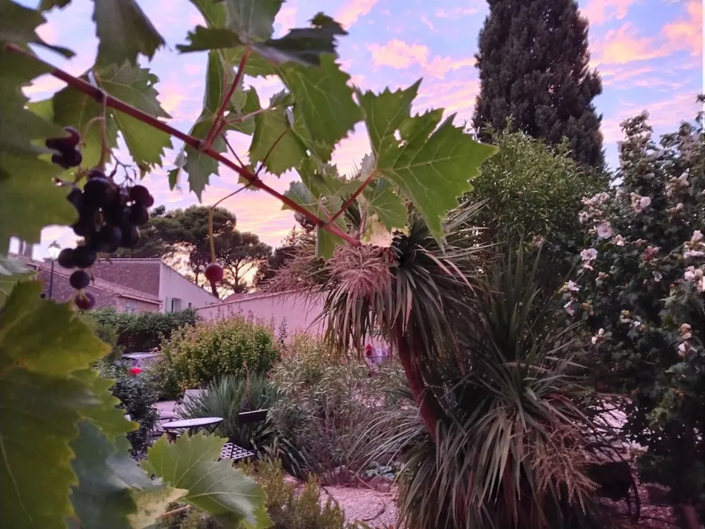 Gîte et Chambres d'hôtes  Le Coq du Nord - Mailhac