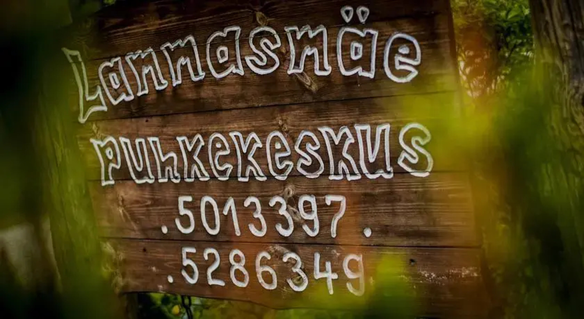 Lammasmäe Holiday Center