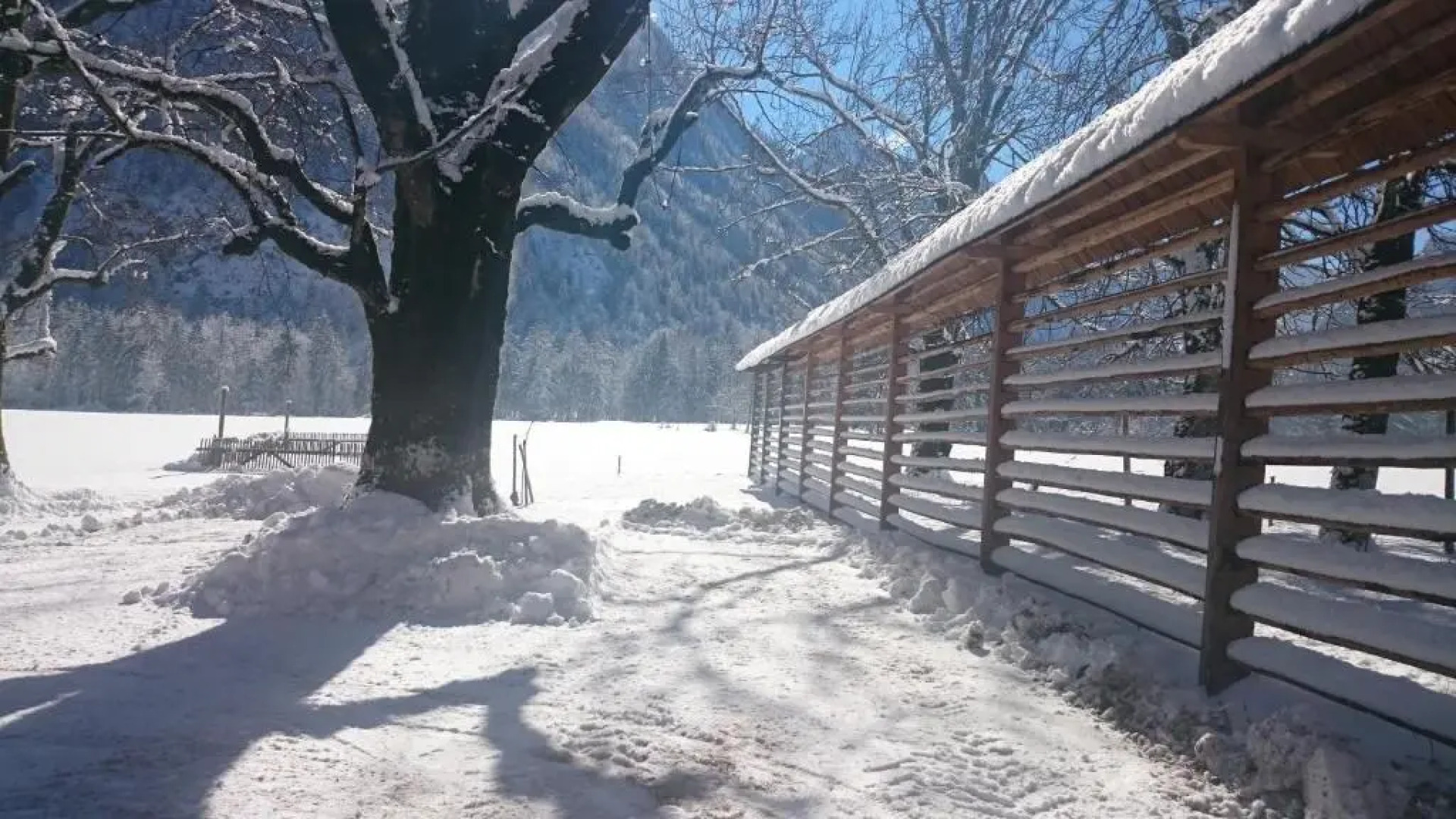 Turisticna Kmetija Psnak