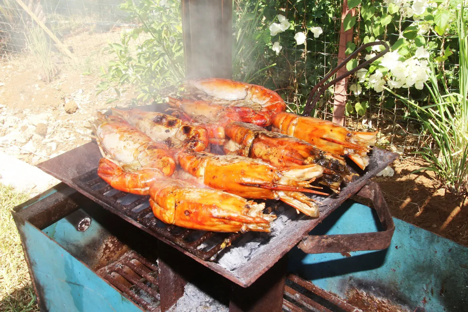 Bungalows Des Tropiques