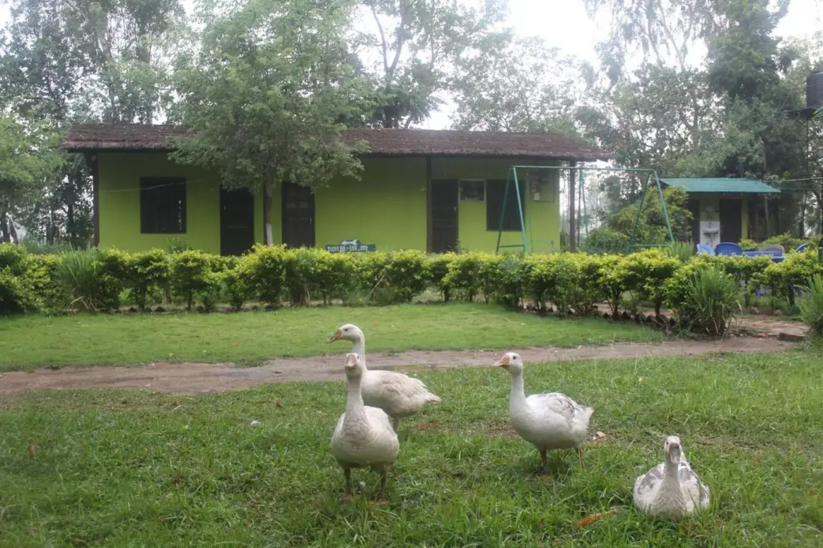 Suklaphanta Jungle Cottage