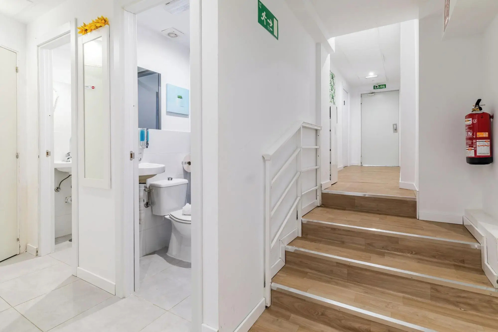 LooP América - Adults Only