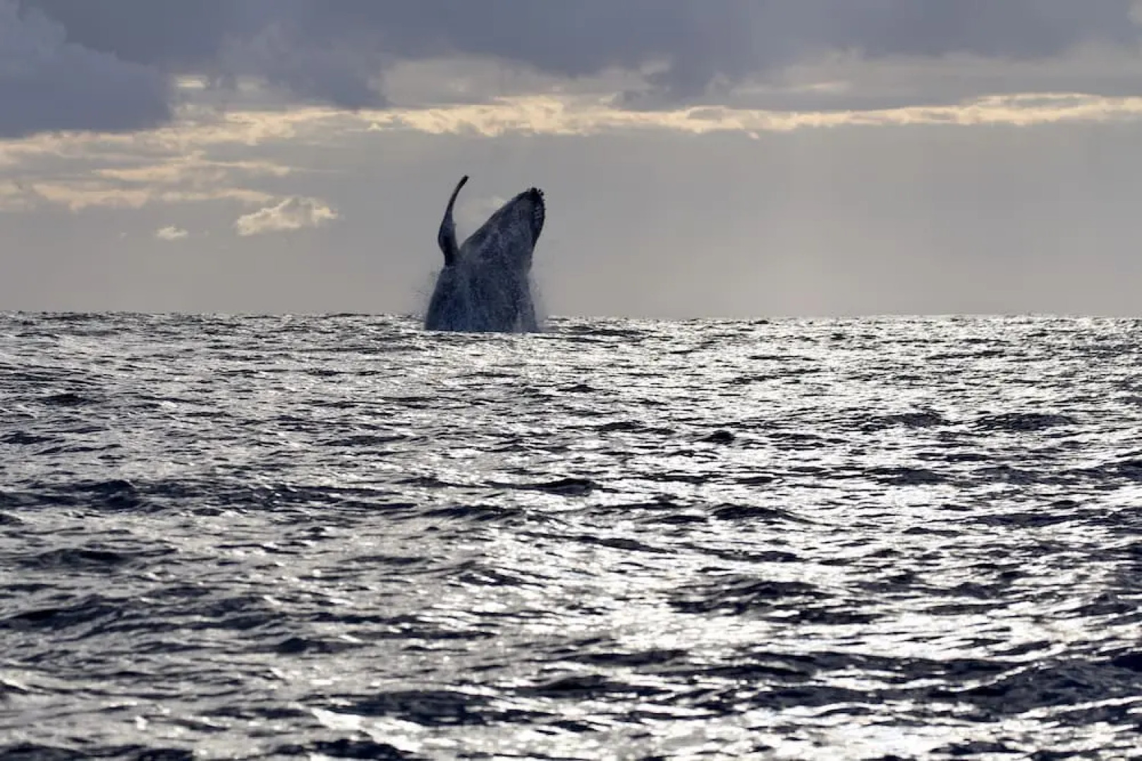 Rhino Coast Guest House