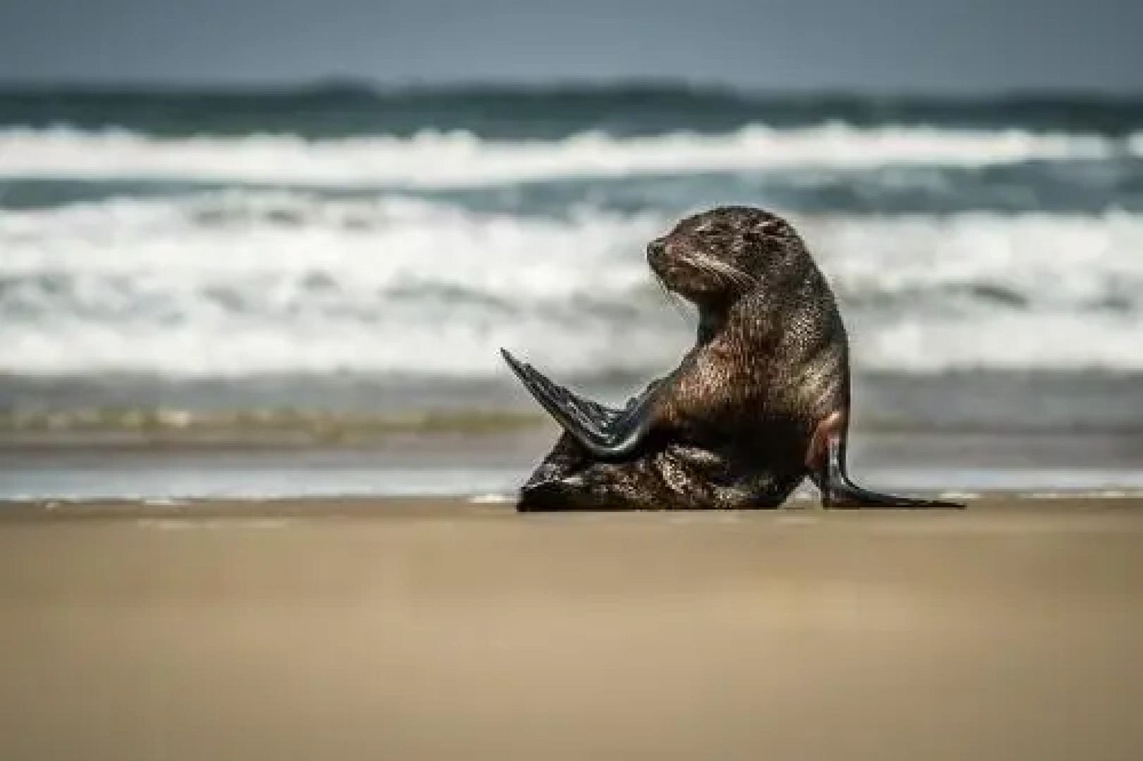 Pousada Villa Prainha