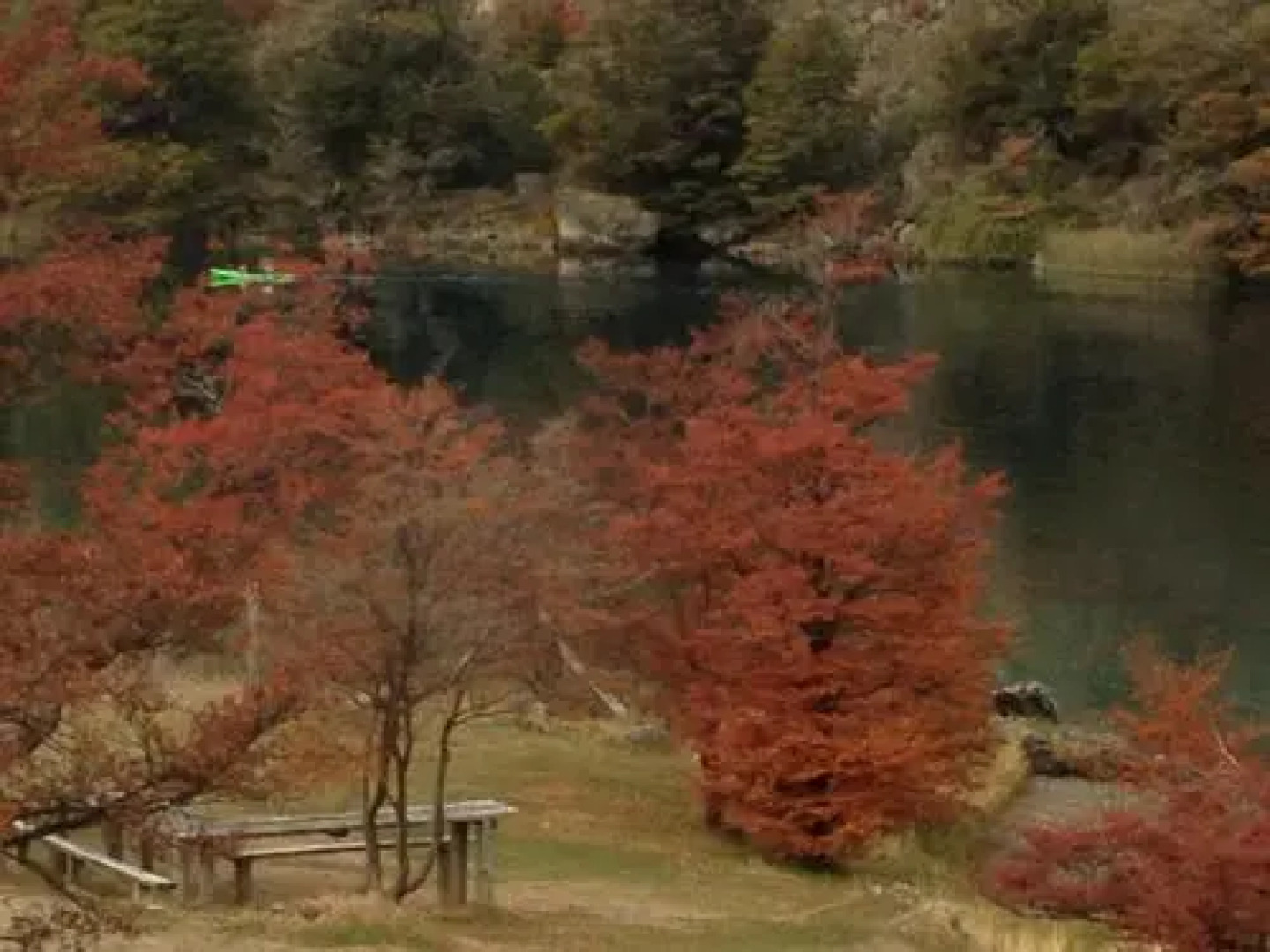 Cabañas Brellenthin