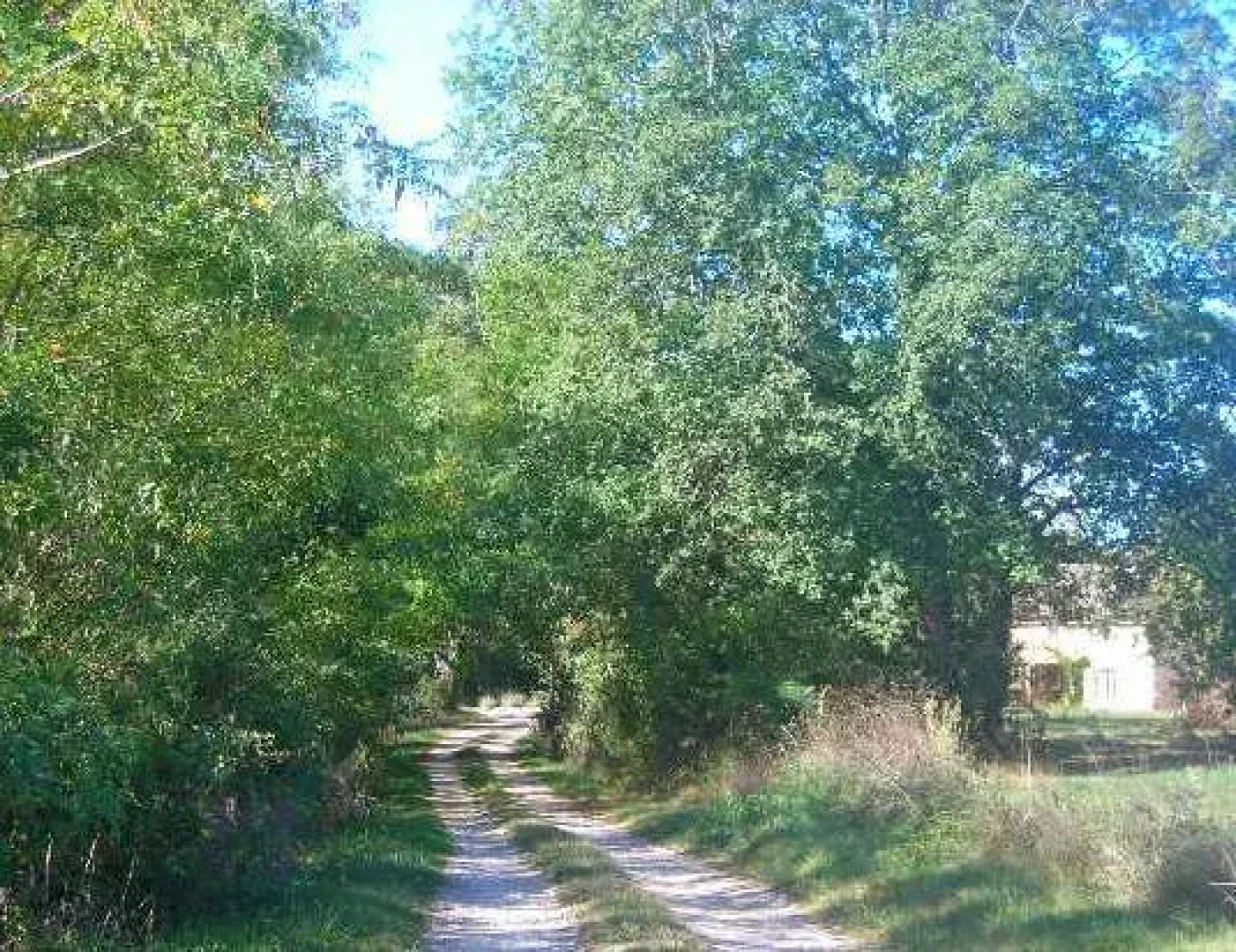 Chambre dhôtes La Première Vigne