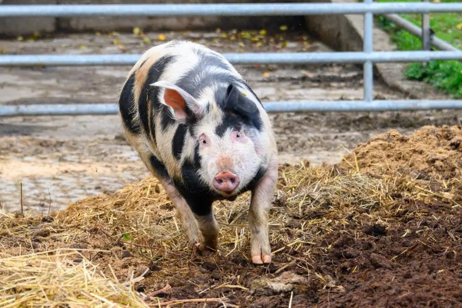 Ferienhotel Gut Enghagen