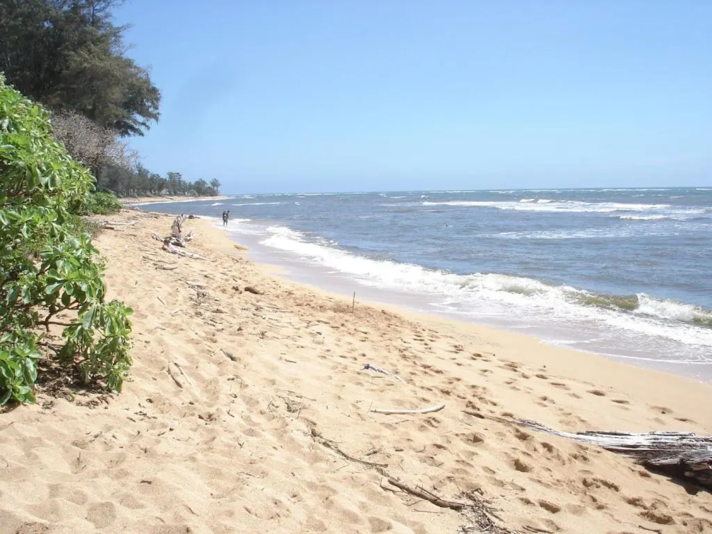 Islander on the Beach Unit 244