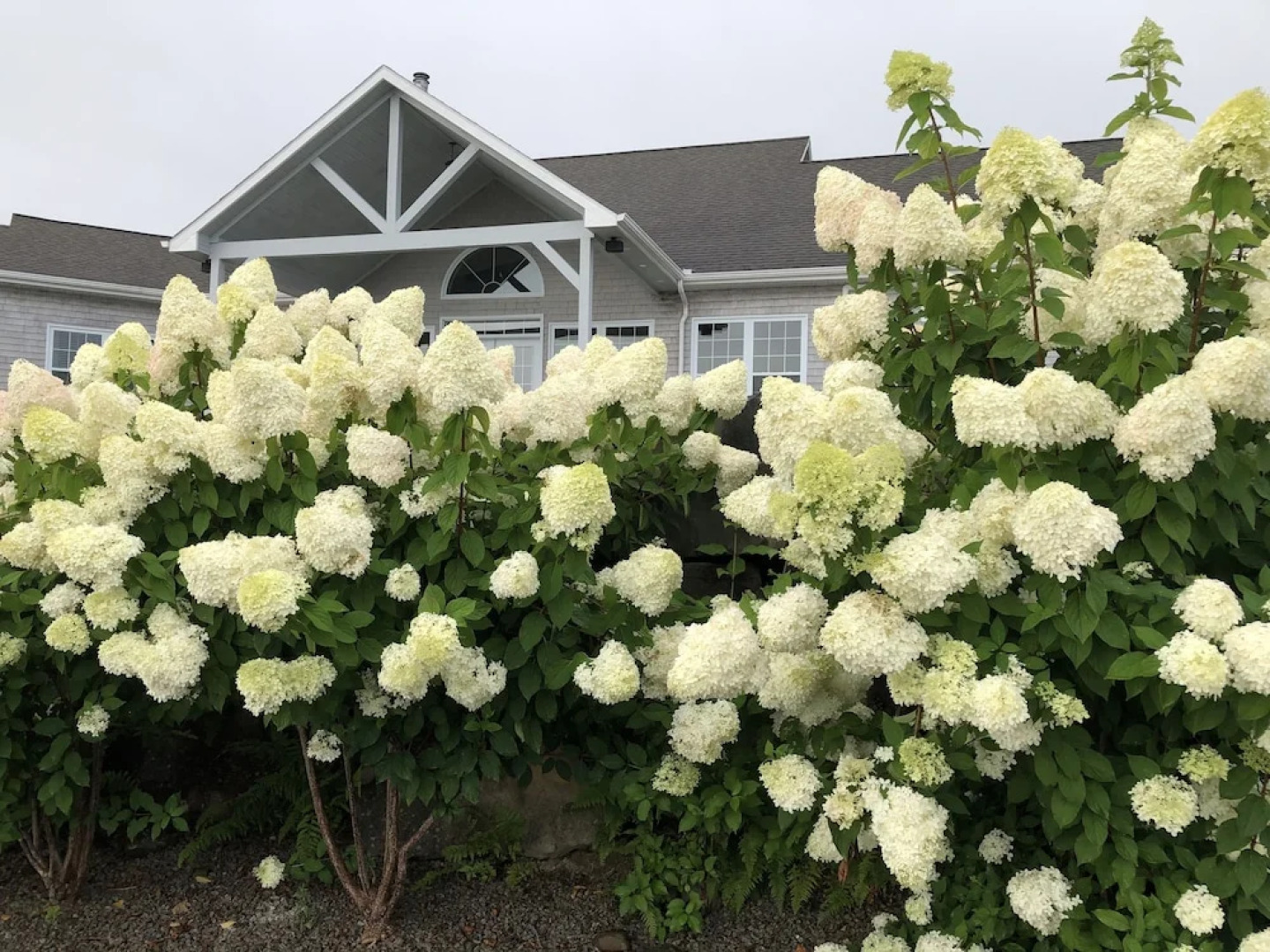 The Lake House Bed & Breakfast