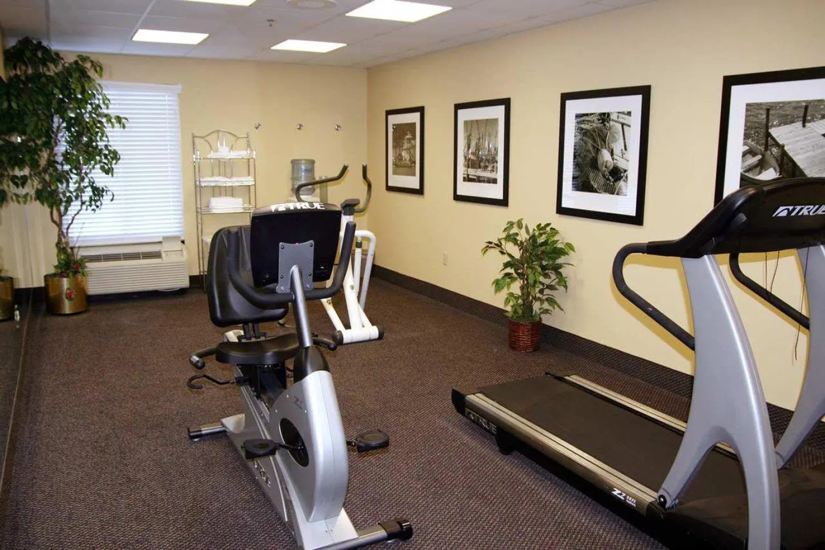 Hampton Inn Mobile-I-10/Bellingrath Gardens