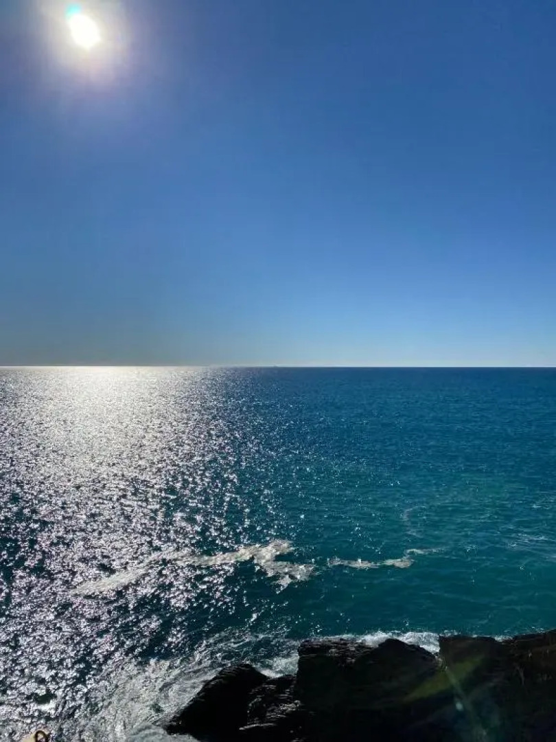 La Bloo di Vernazza - Sea View - AC&WiFi - Vernazzarentals