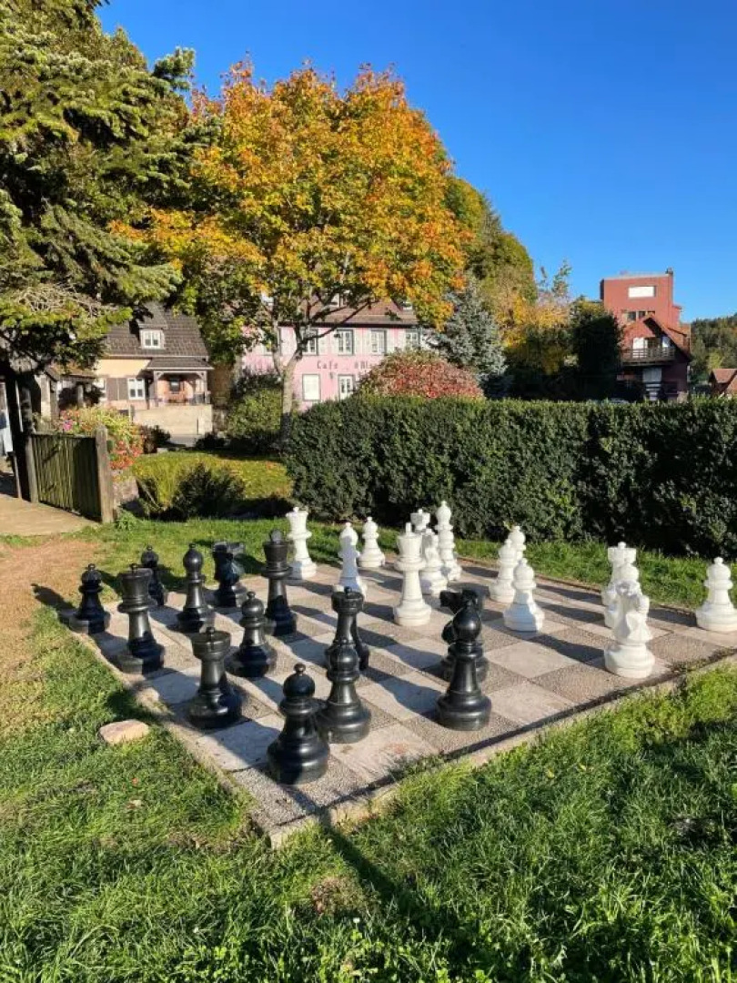 Appartement 3 pieces centre du Hohwald # 201