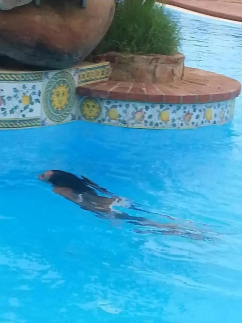 Seaside House in Rais Gerbi Residence