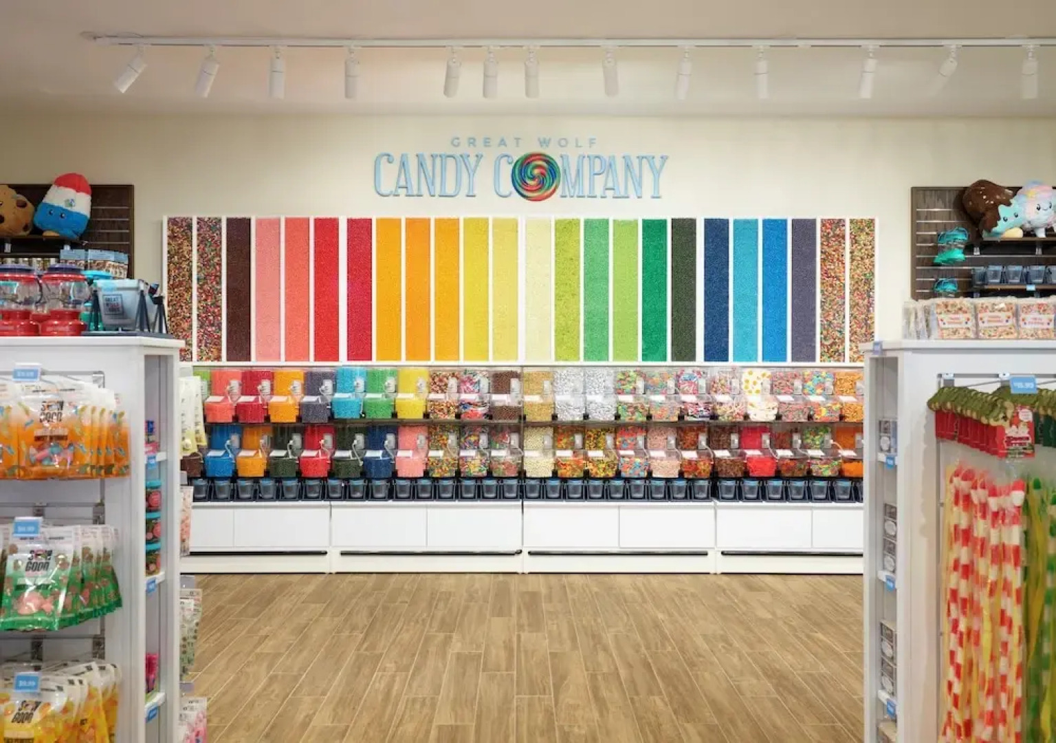 Great Wolf Lodge Webster