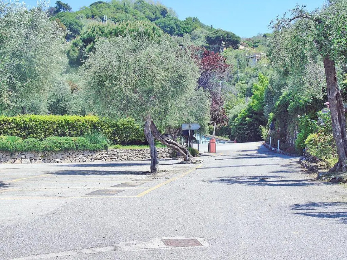 Piana degli Ulivi a Lerici