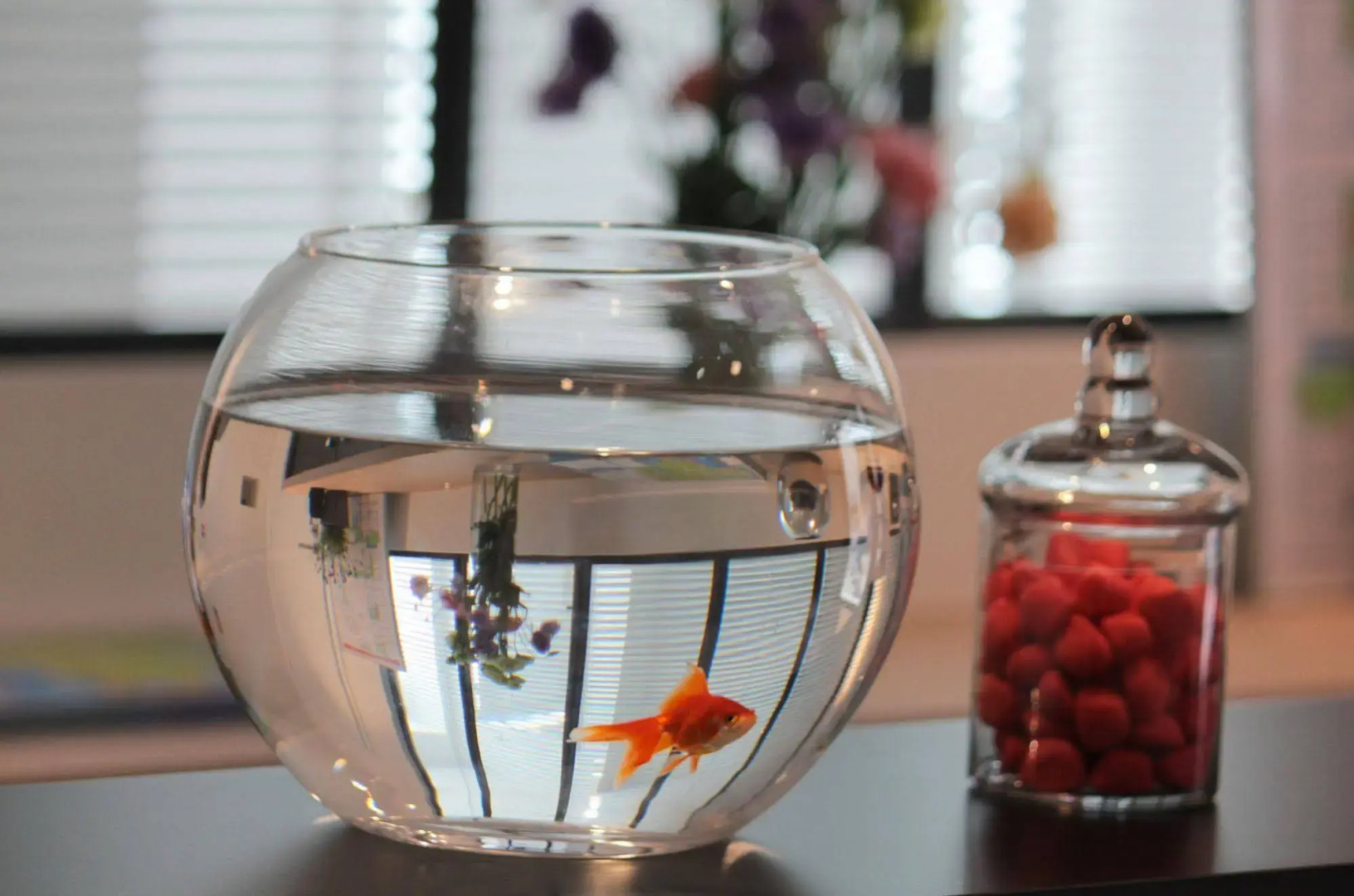 Le Cornouaille Hotel & Spa