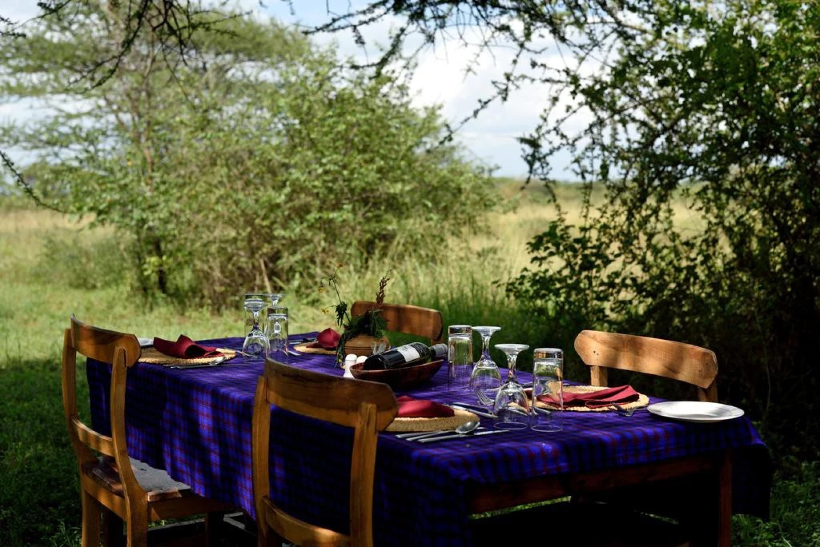 Ikoma tented Camp