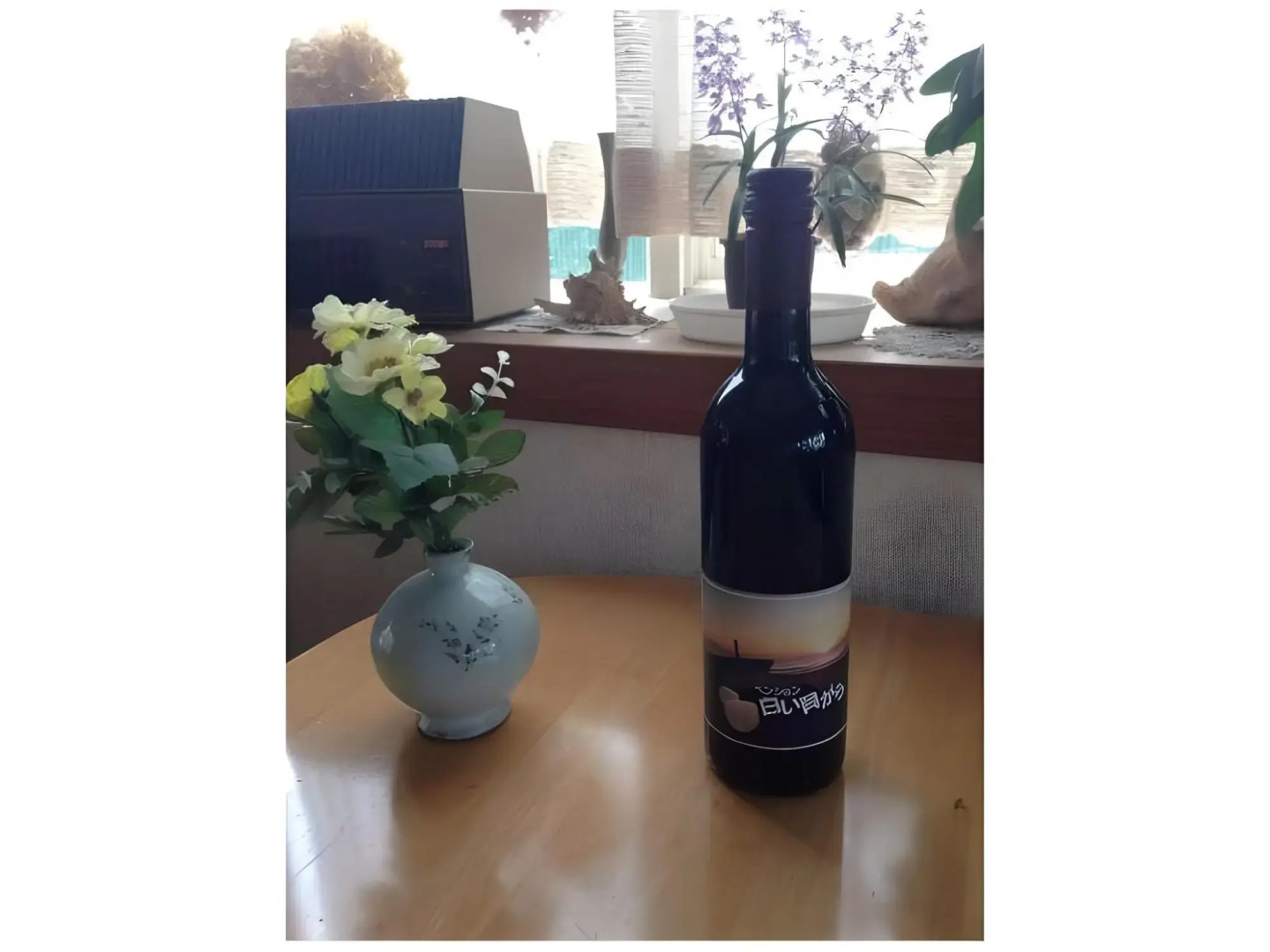 Pension Shiroi Kaigara