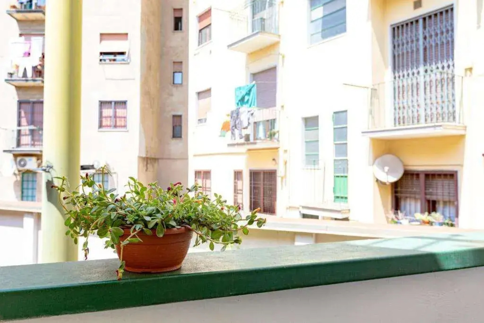 Città Studi Suites - Top Collection