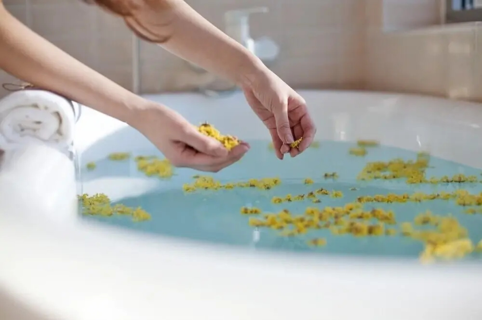 Momo Guesthouse Pension