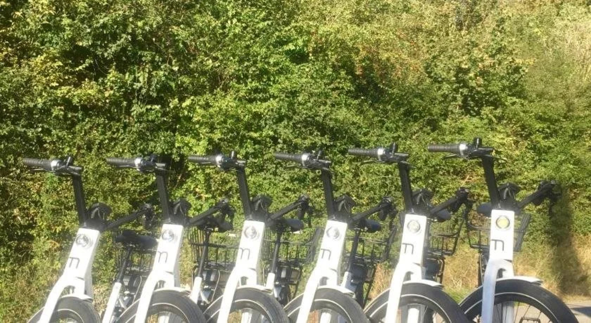 Bed And Breakfast Olten