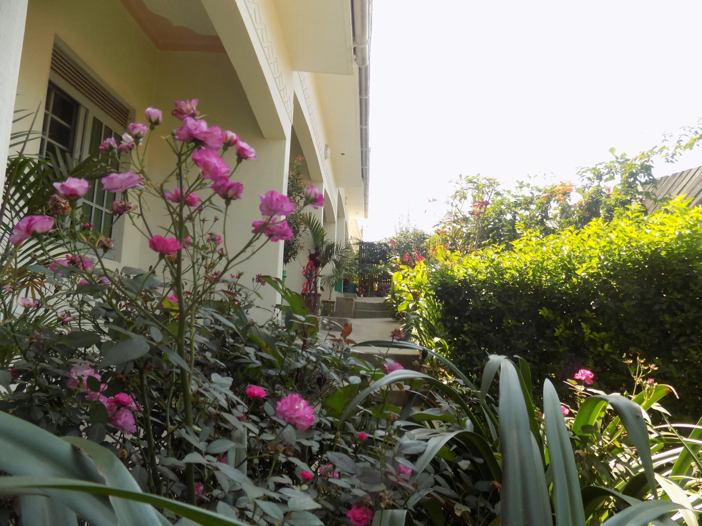 Deluxe Hotel - Ishaka