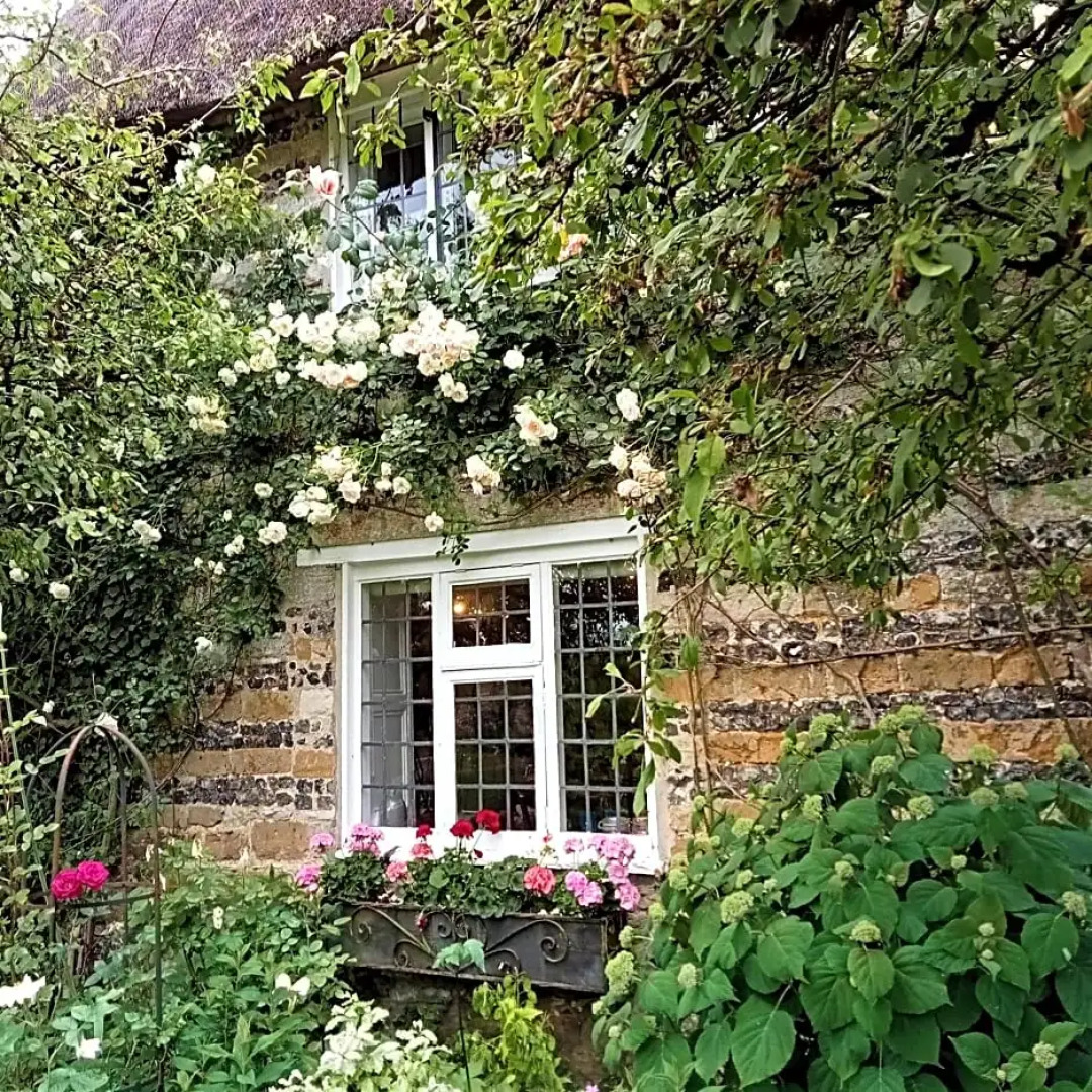 Tudor Cottage Bed & Breakfast Dorchester