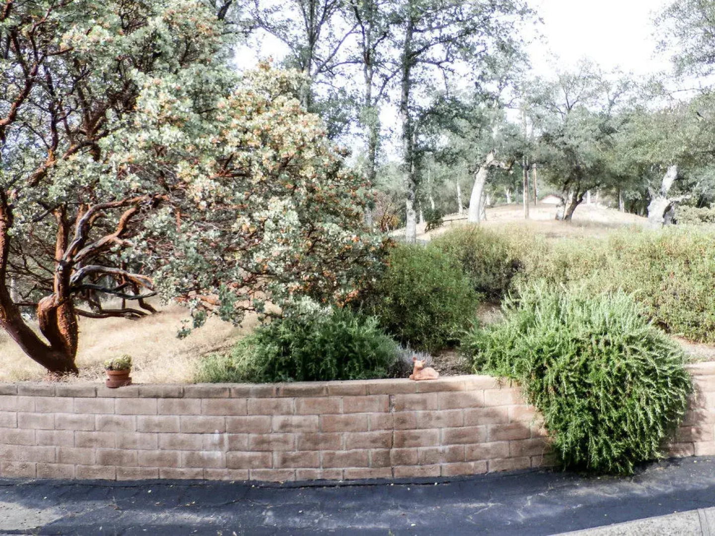 Westview Majestic View Home