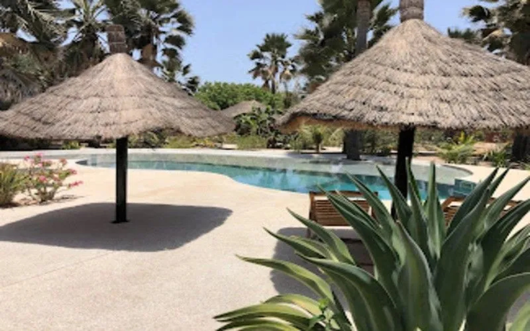 La Palmaraie de Ngor