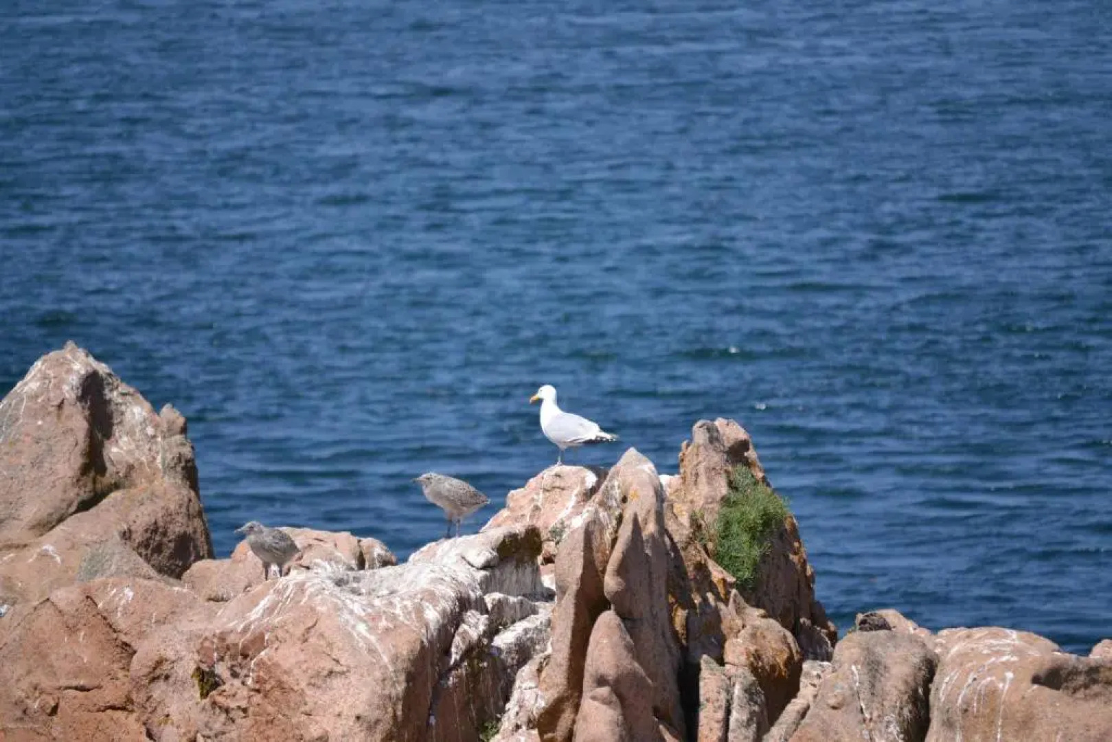 Gîte de la Chapelle