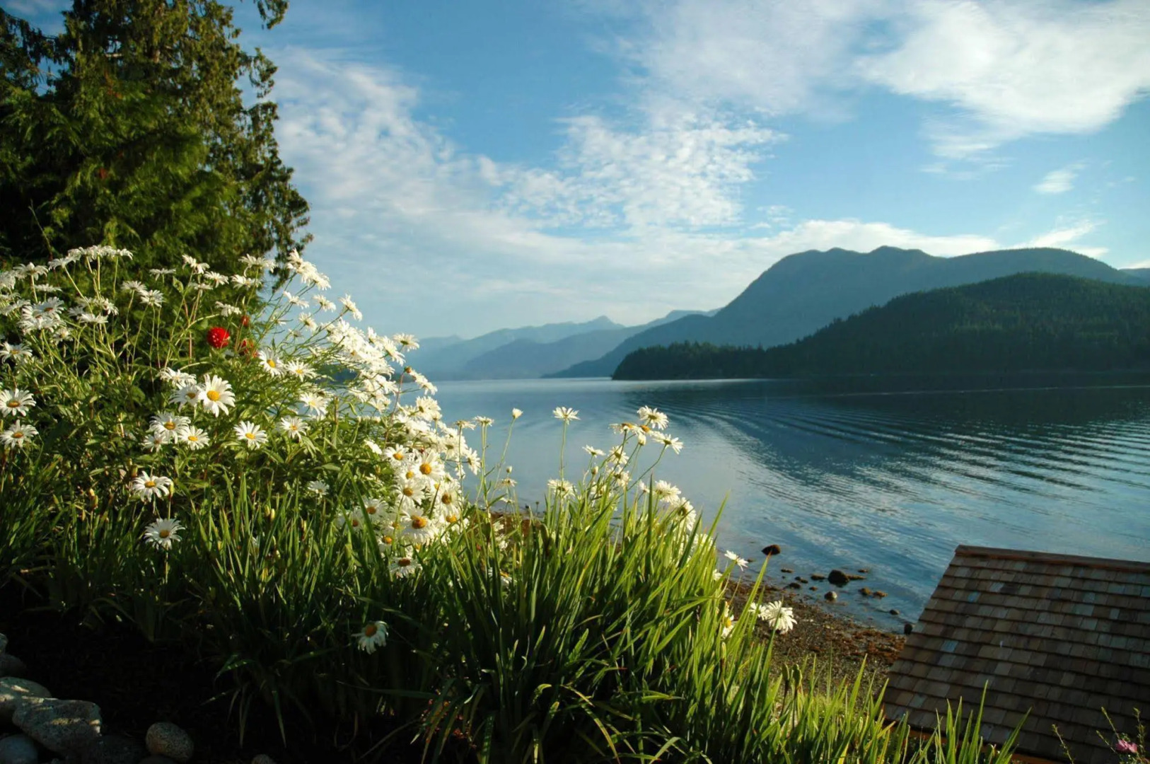 At The Shore Bed and Breakfast