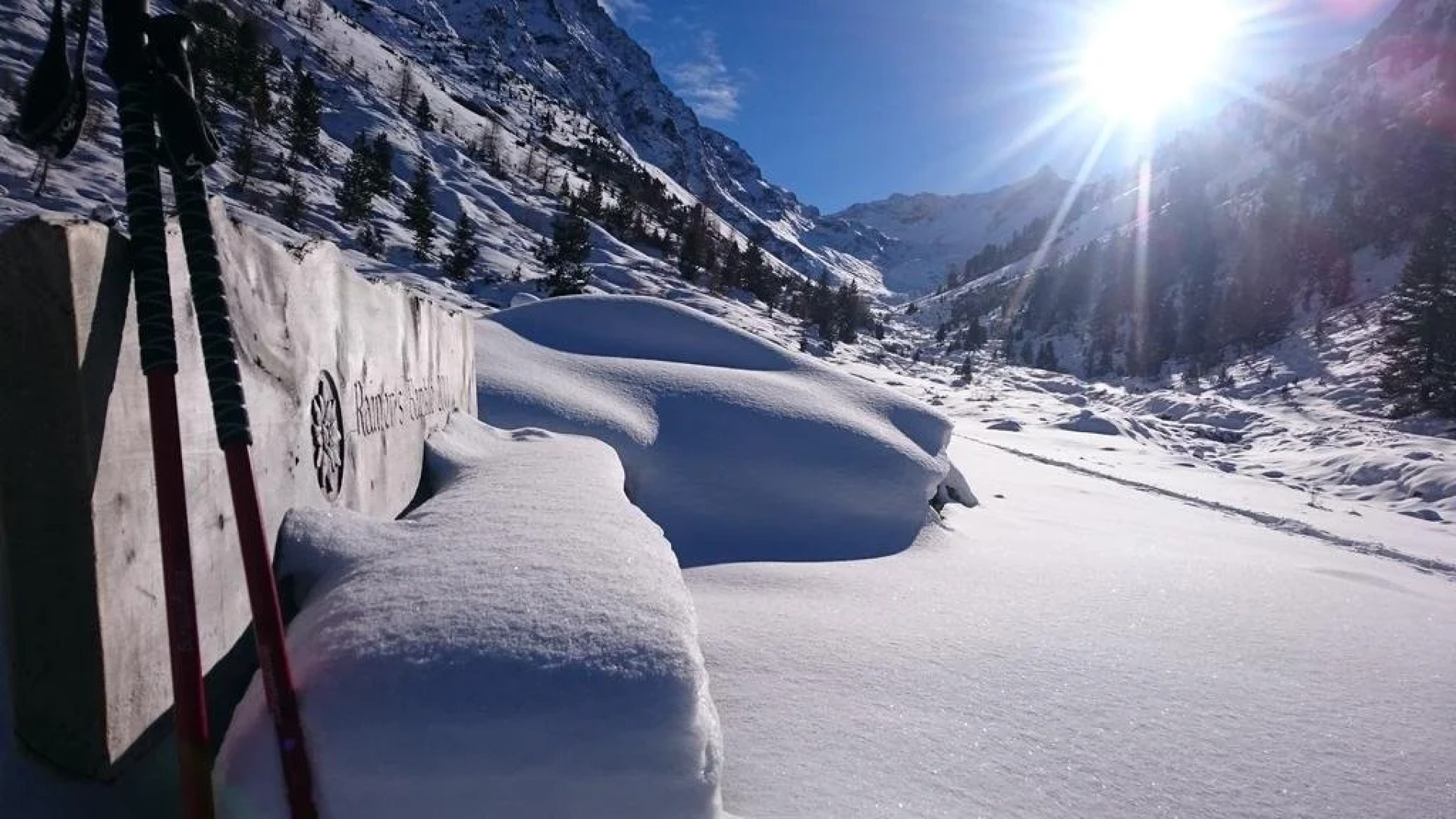 Biologische Pension & Boerderij "de Veitenhof"