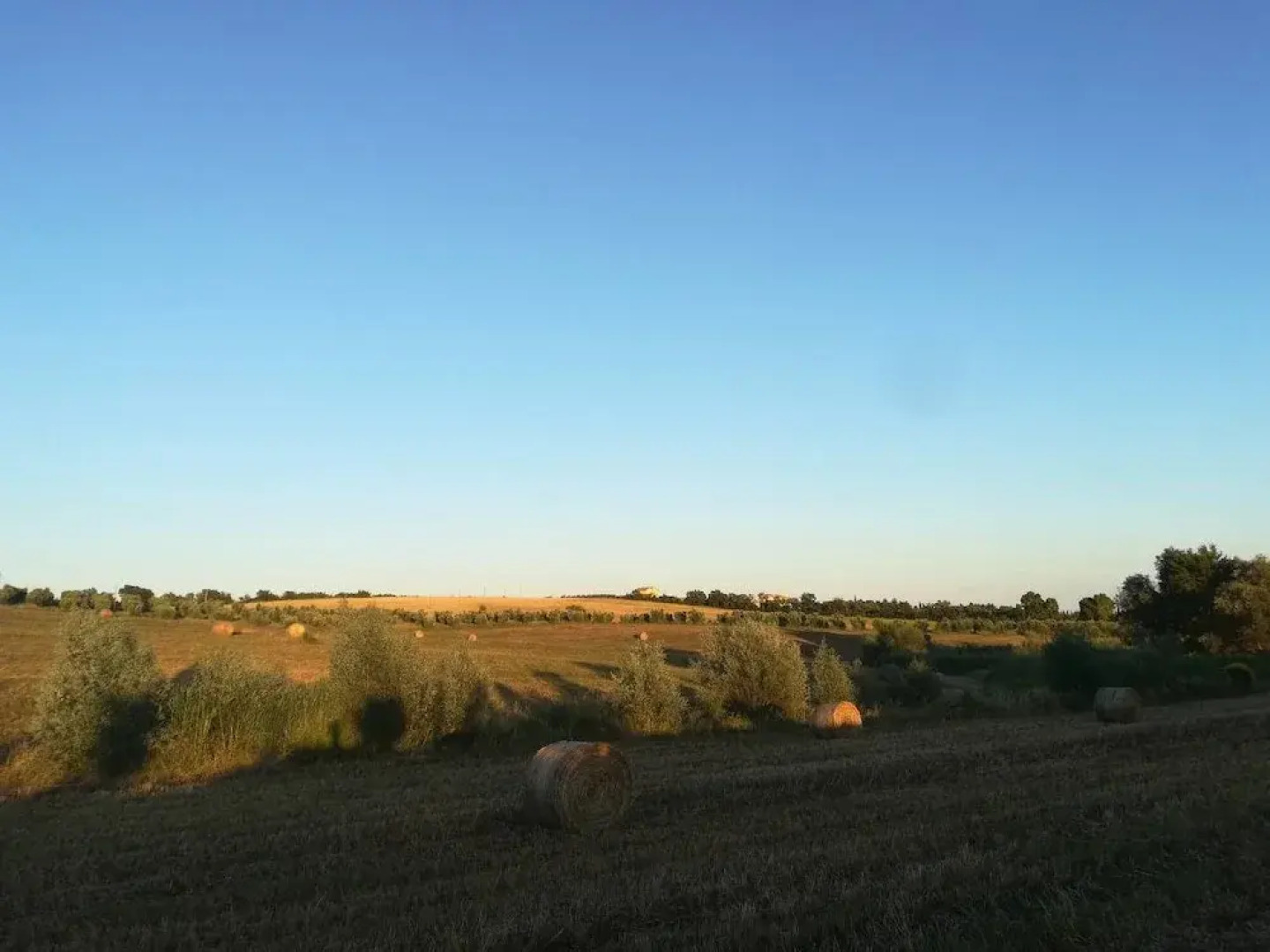 VILLA in TUSCAN MAREMMA. SEA&COUNTRYSIDE CAPALBIO Holiday home 8 BestStayz.1